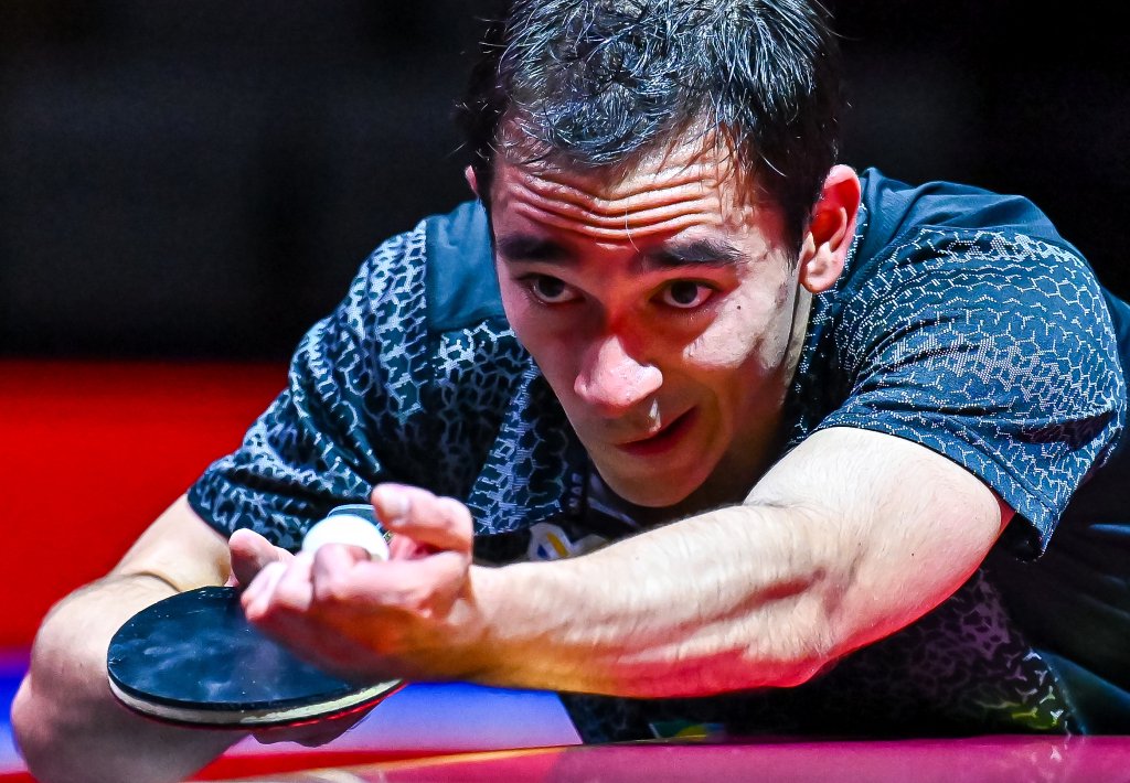 都将见证这 都将见证这